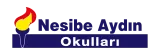 NESİBE AYIN PREMİUM logo